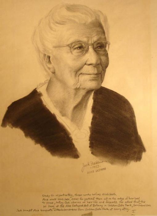 Yessy > Jack Feldman > Jack Feldman Gallery > ALICE EASTWOOD , Renowned